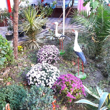 سمرقند Hotel Rahmon المظهر الخارجي الصورة