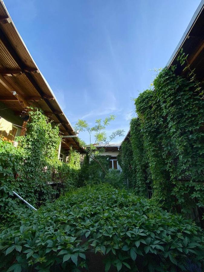 سمرقند Hotel Rahmon المظهر الخارجي الصورة