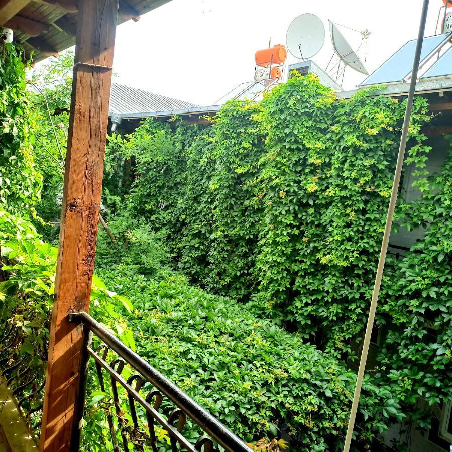 سمرقند Hotel Rahmon المظهر الخارجي الصورة